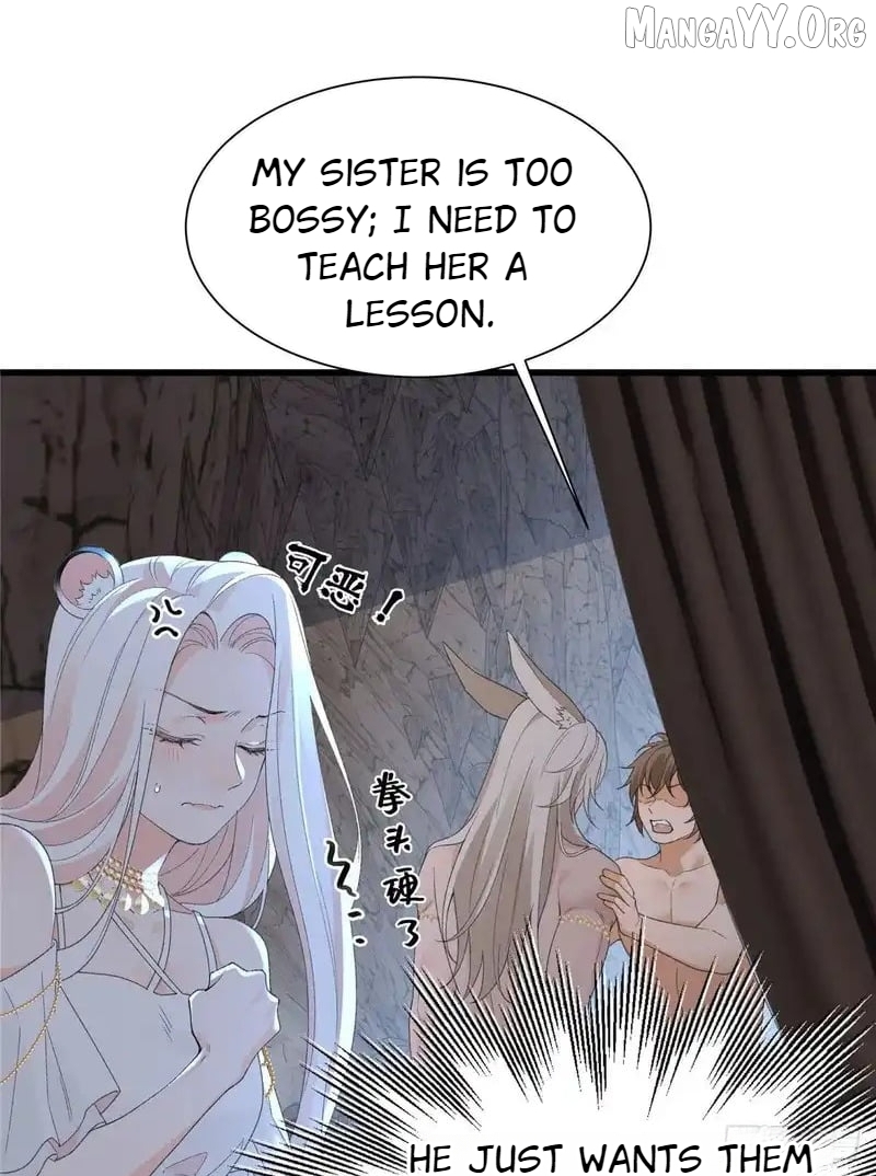 Taming the Beasts With Multi-Pregnancy System Chapter 37 - page 11